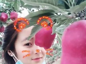 Chińscy licealiści robienia zdjęć w orch jabłkowym